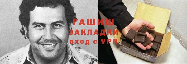 гашик Алексин