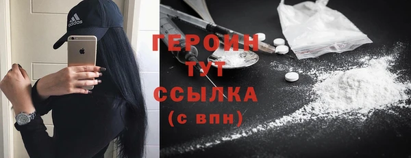 гашик Алексин