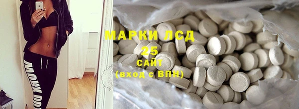гашик Алексин