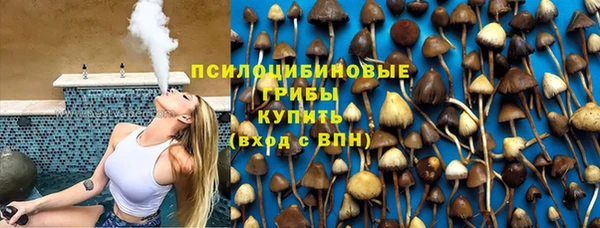 индика Алексеевка