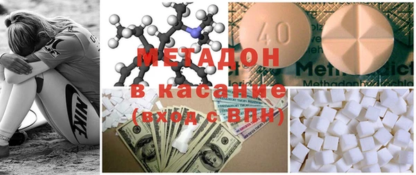 гашик Алексин