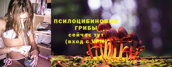 индика Алексеевка
