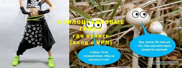 apvp Алзамай