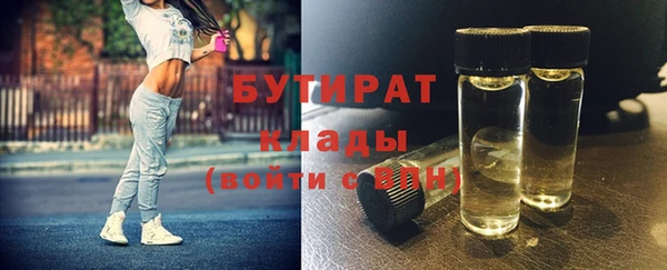 гашик Алексин
