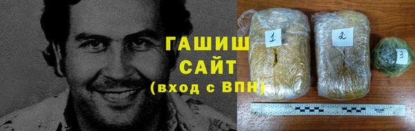 гашик Алексин
