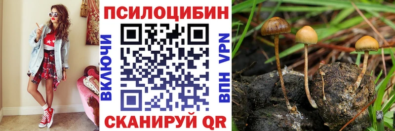 Галлюциногенные грибы мухоморы  Бакал 